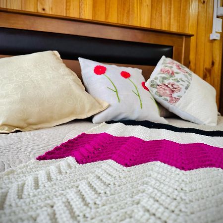 El Tejuelero Villa Hornopiren Ngoại thất bức ảnh